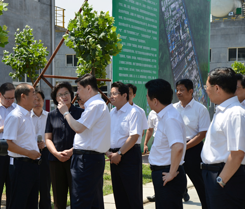 省委書記到金能02